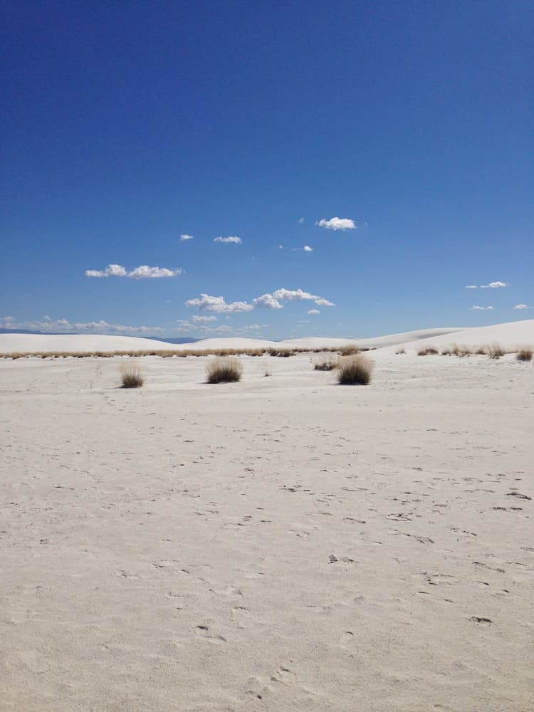 the site owner at a shoreline in Massachusettes
