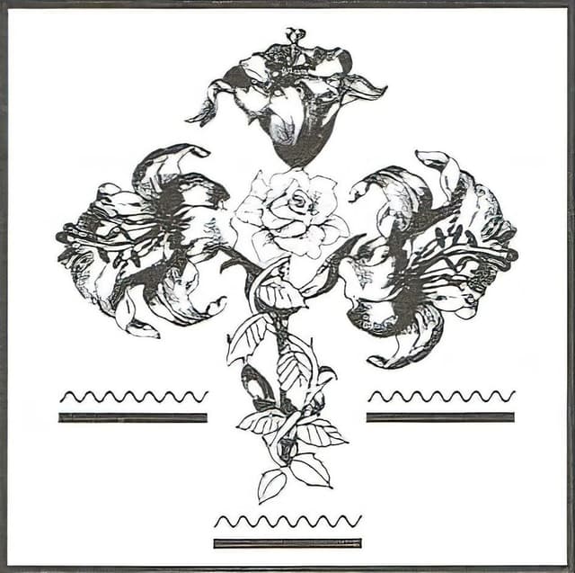 rose, my memento mori