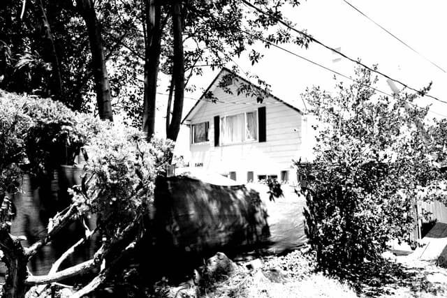 a neighbor in a hood